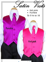 Fuchsia Vest & Tie