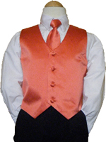 Persimmon Vest & Tie