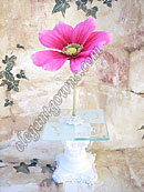 Daisy Sprout Cake Top CL2003