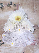 Gerbera Daisy Cake Top CL2008