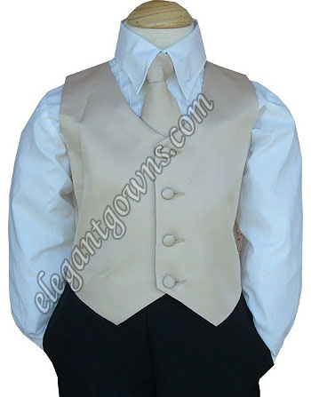 Clearance Champagne Vest & Tie - Click Image to Close