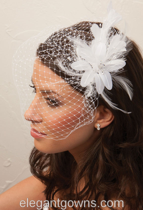 Birdcage Bridal Veil