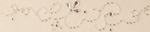 Bridal Veil 7019v